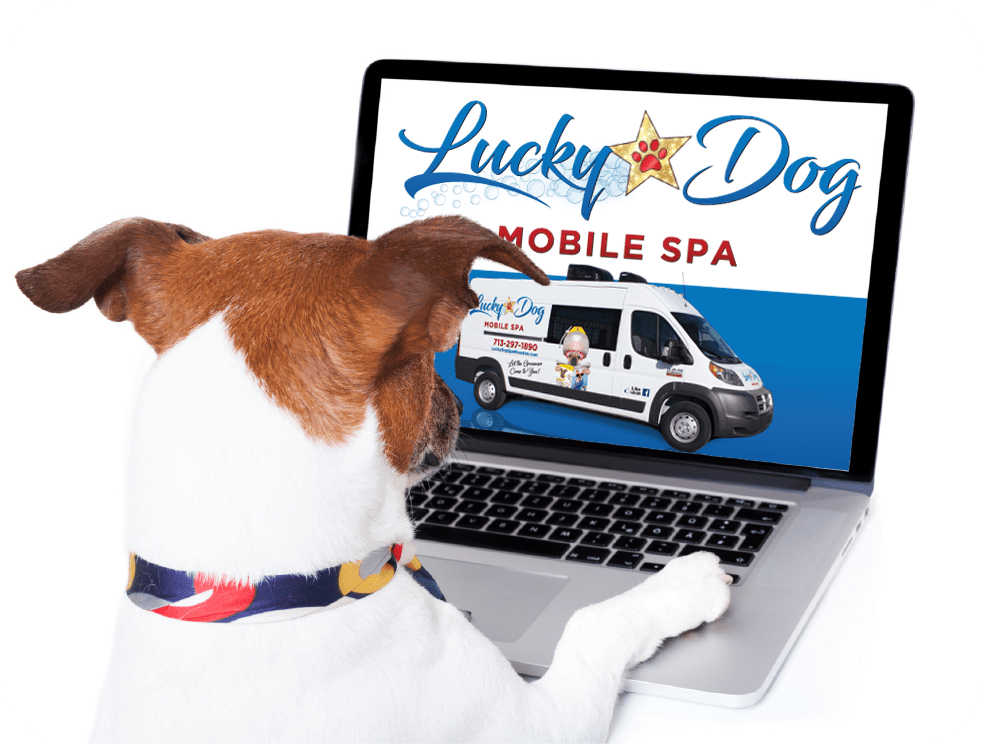 lucky dog mobile spa